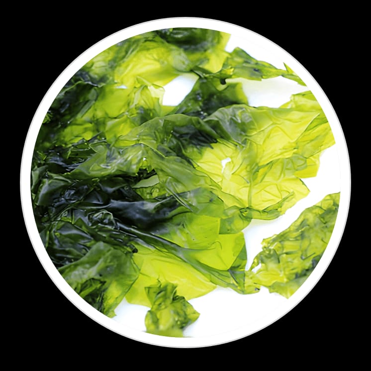 whatsapp image 2026 03 27 at 6.14.42 am (1)