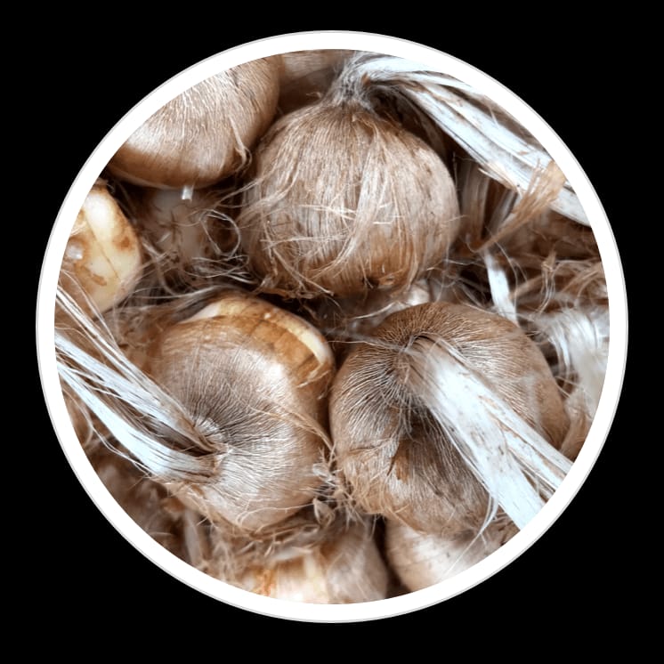 whatsapp image 2026 03 27 at 6.14.42 am