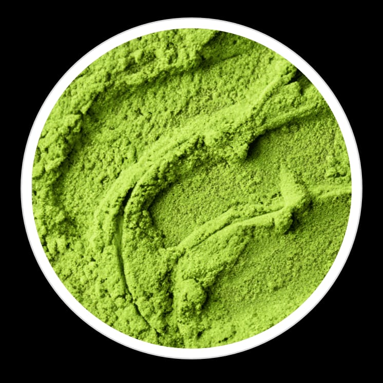 whatsapp image 2026 03 27 at 6.14.43 am (1)