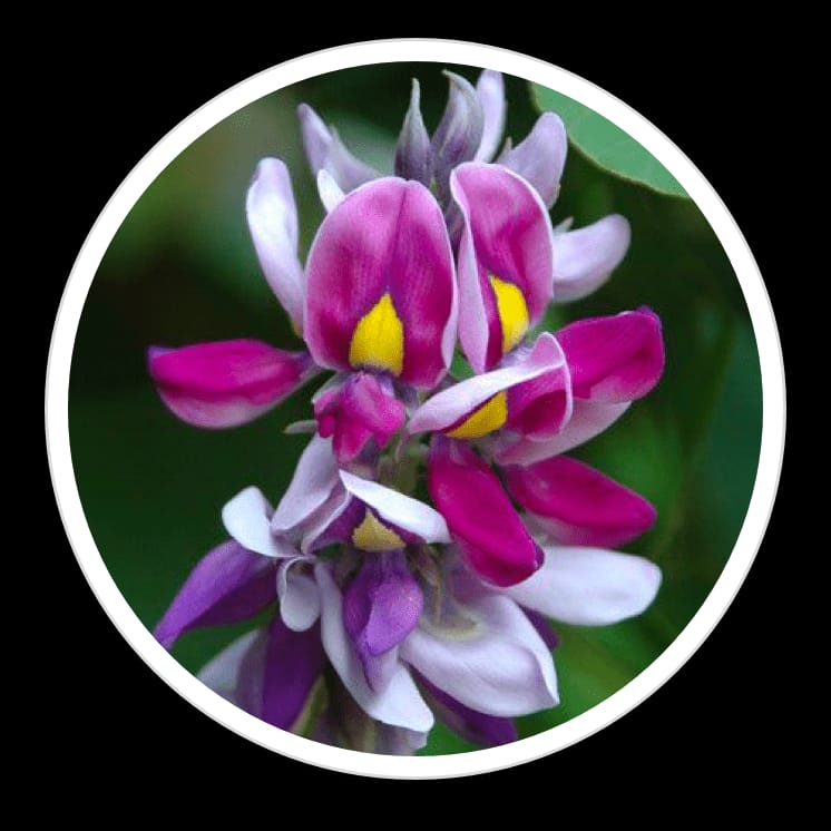 whatsapp image 2026 03 27 at 6.14.43 am (2)