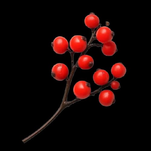 SlimSana Review: Flip Your Metabolic Switch Today whatsapp image 2026 03 29 at 6.28.48 am (2)